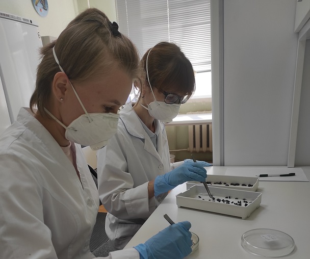 Лаборатория анализа семян Краснодарского филиала аккредитована во ФГИС Росаккредитации