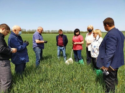 Дана оценка состояния сельхозкультур в Краснодарском крае